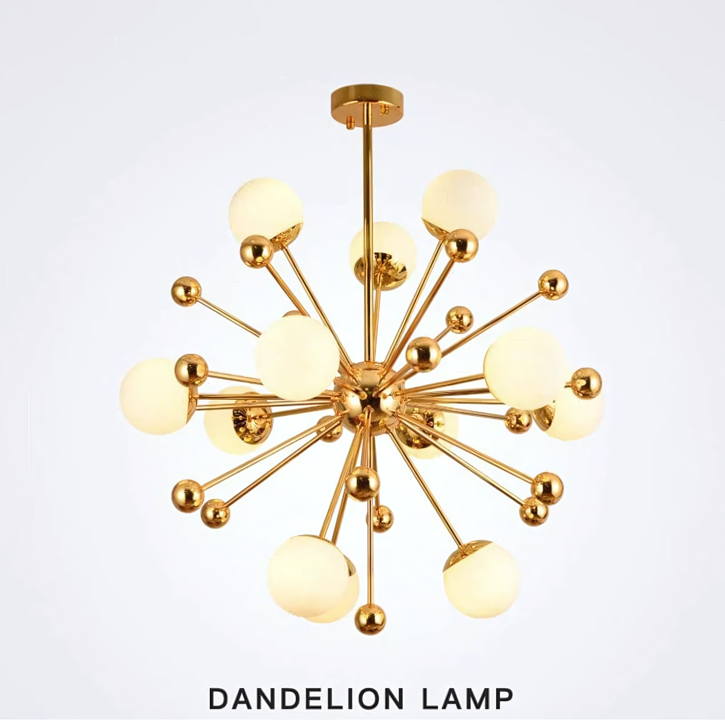 Asteraceae Gold Chandelier