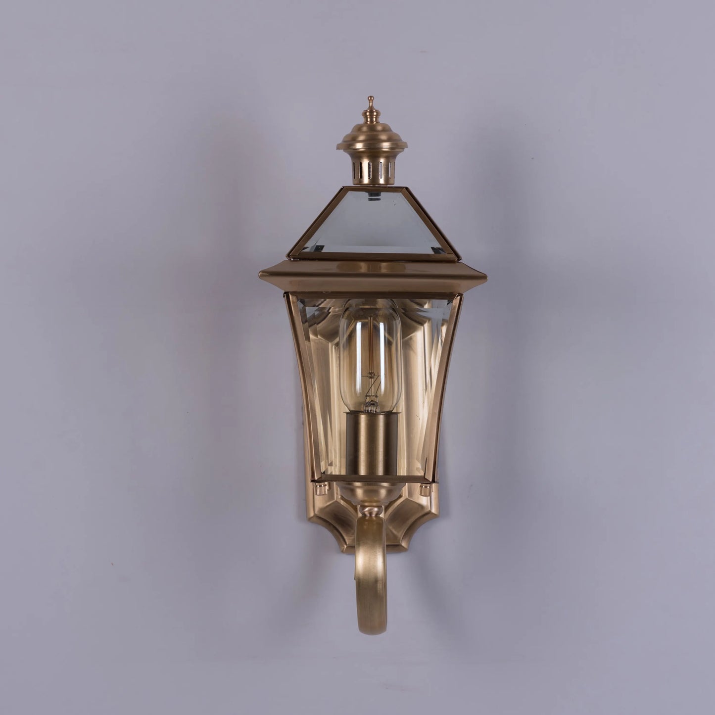 Moth To A Flame Indoor Shade Area Wall Light