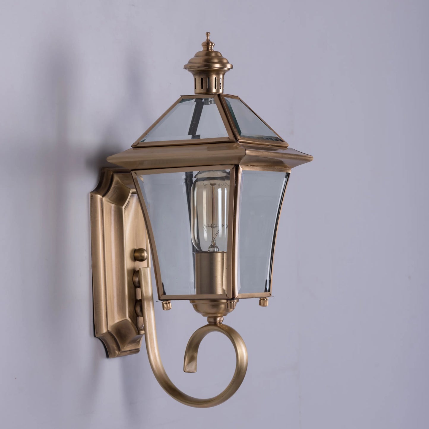 Moth To A Flame Indoor Shade Area Wall Light