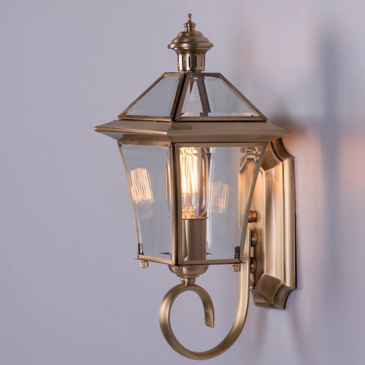 Moth To A Flame Indoor Shade Area Wall Light