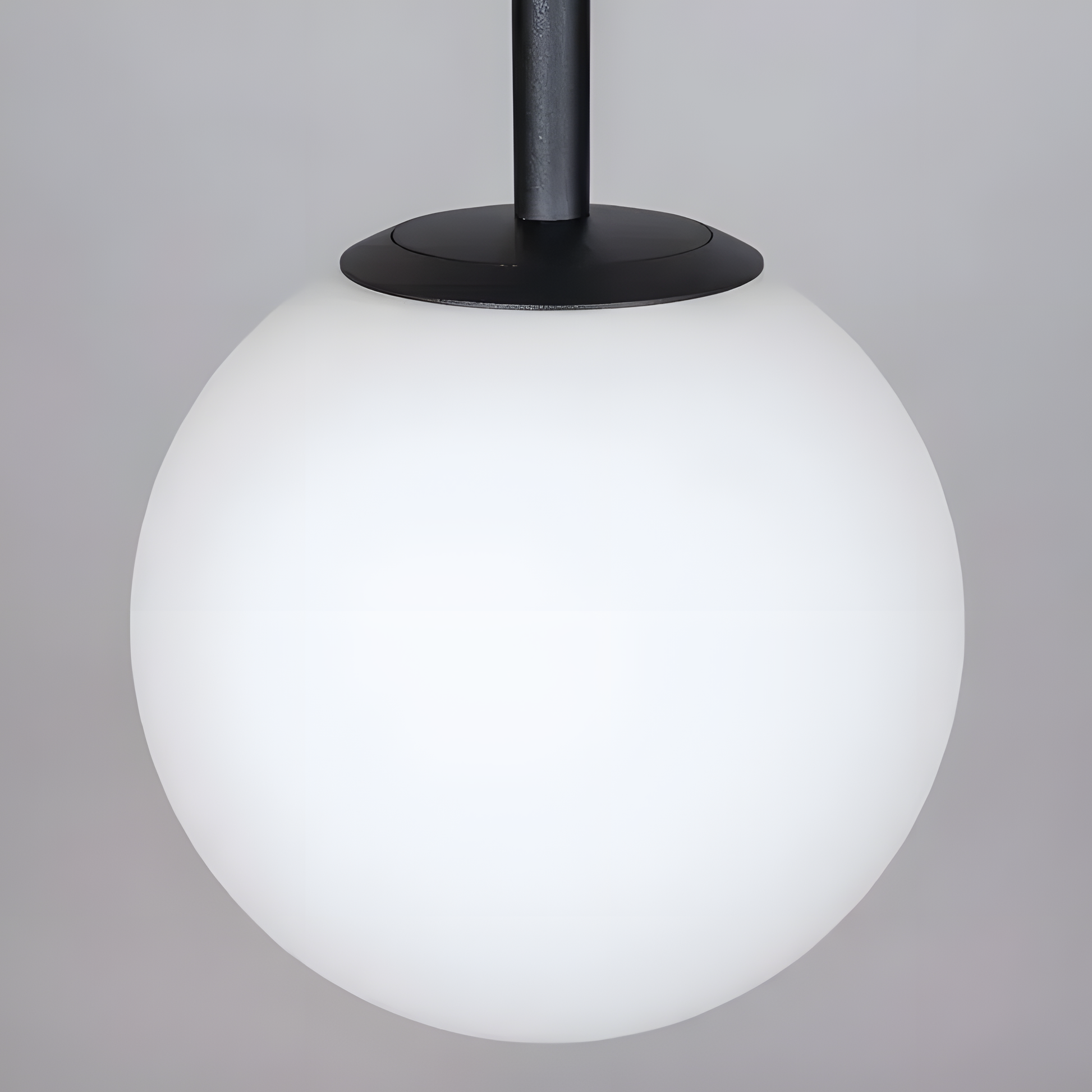 Captivating intersection of industrial and natural elements