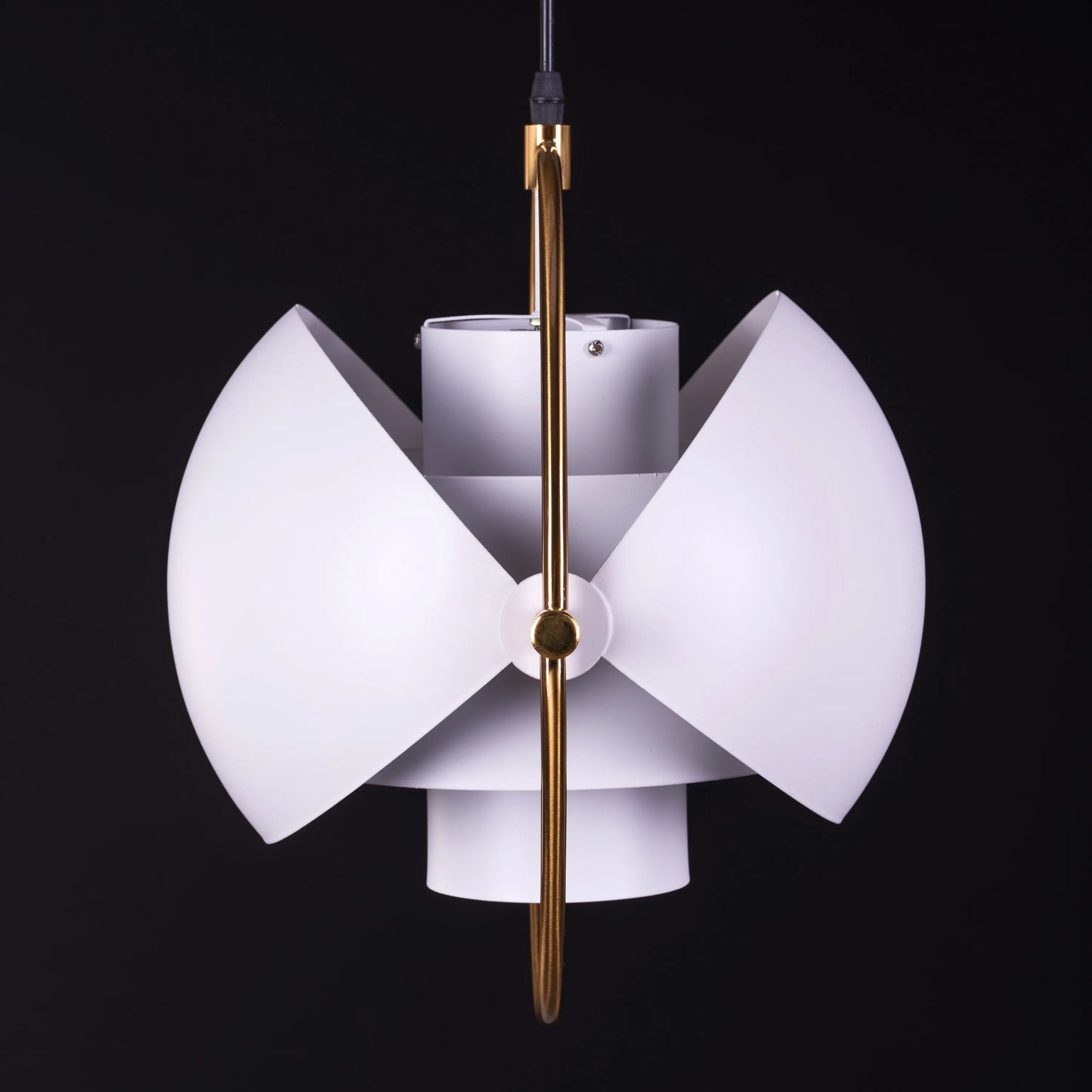 Beating Heart Pendant Light