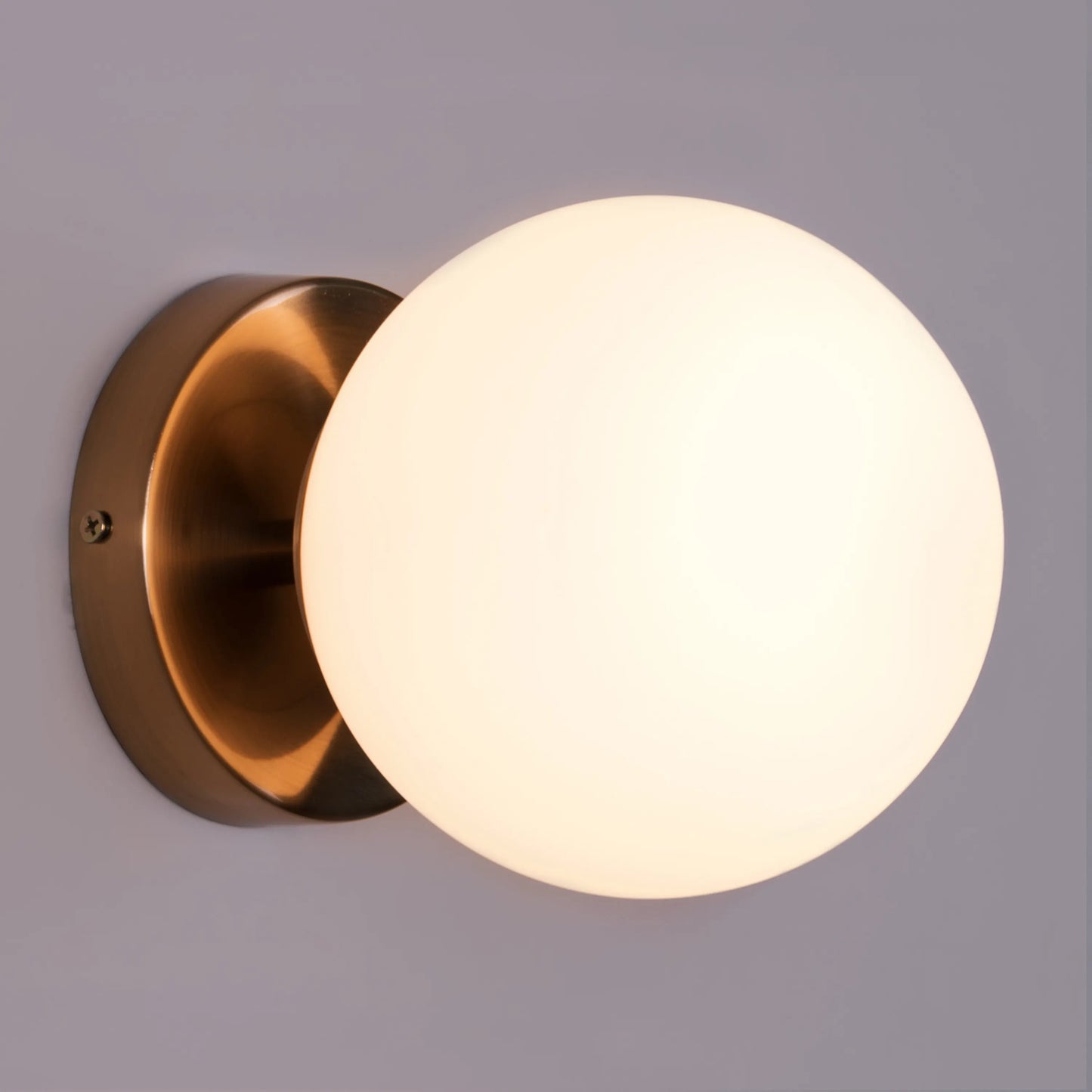 Single Life Wall Light
