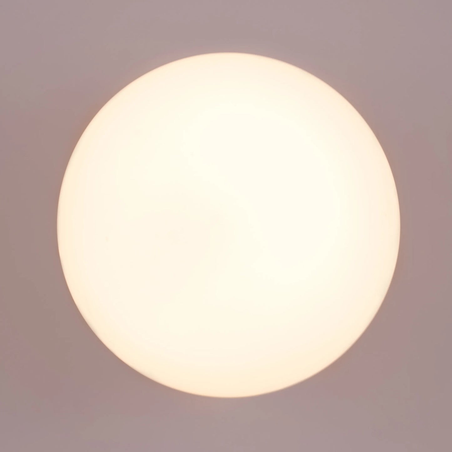 Single Life Wall Light