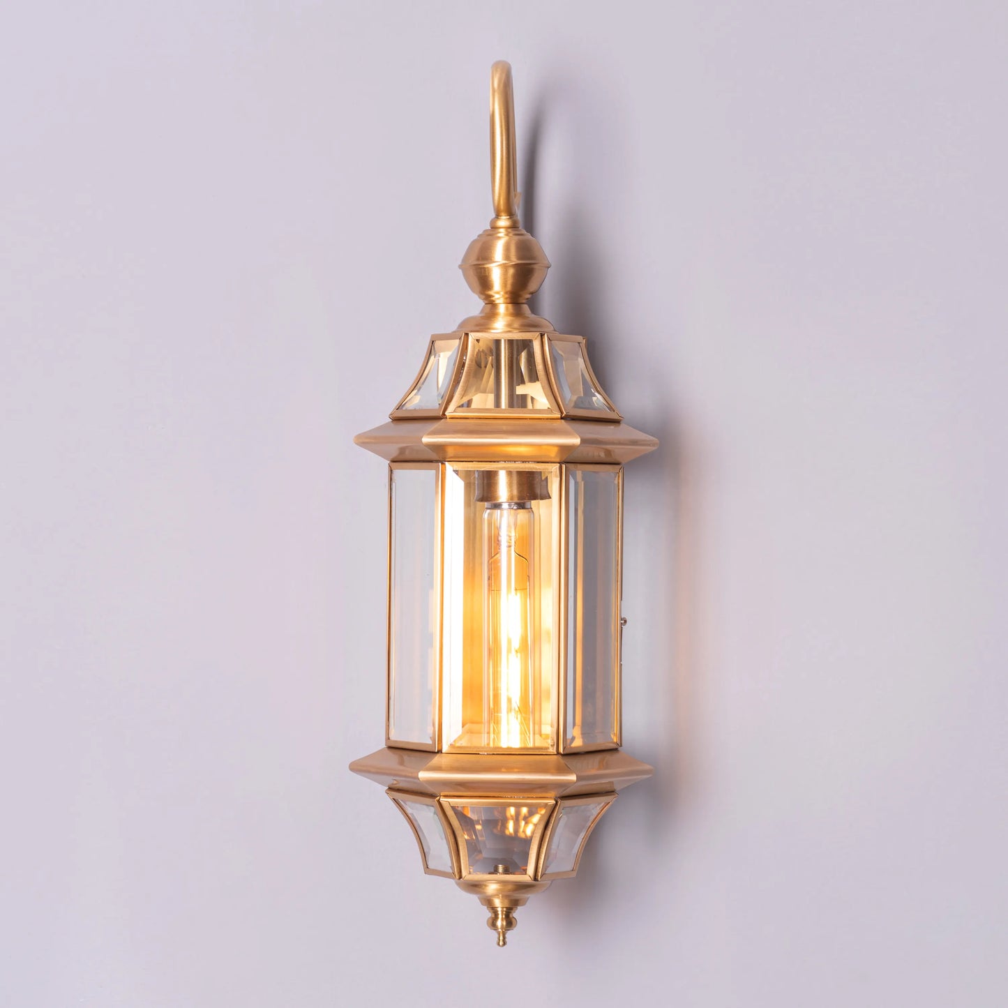 Flame To A Moth Indoor Shade Area Wall Light