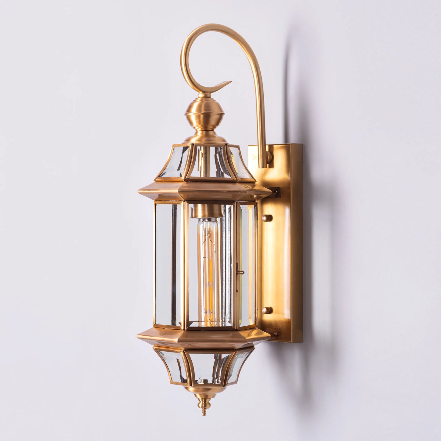 Flame To A Moth Indoor Shade Area Wall Light