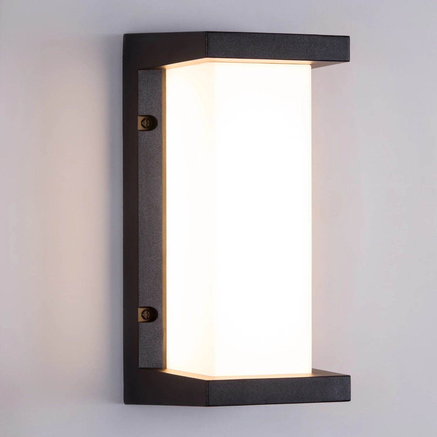 Come Alive Outdoor Wall Light
