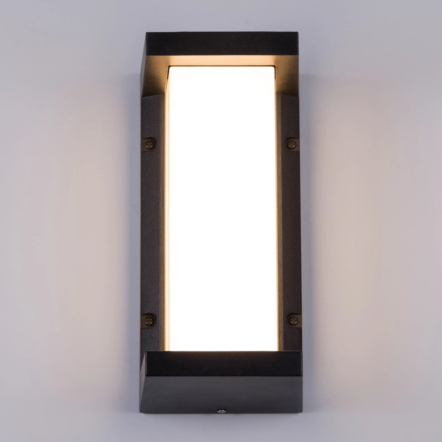 Come Alive Outdoor Wall Light