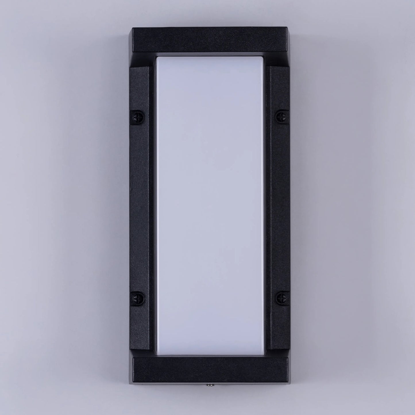 Come Alive Outdoor Wall Light