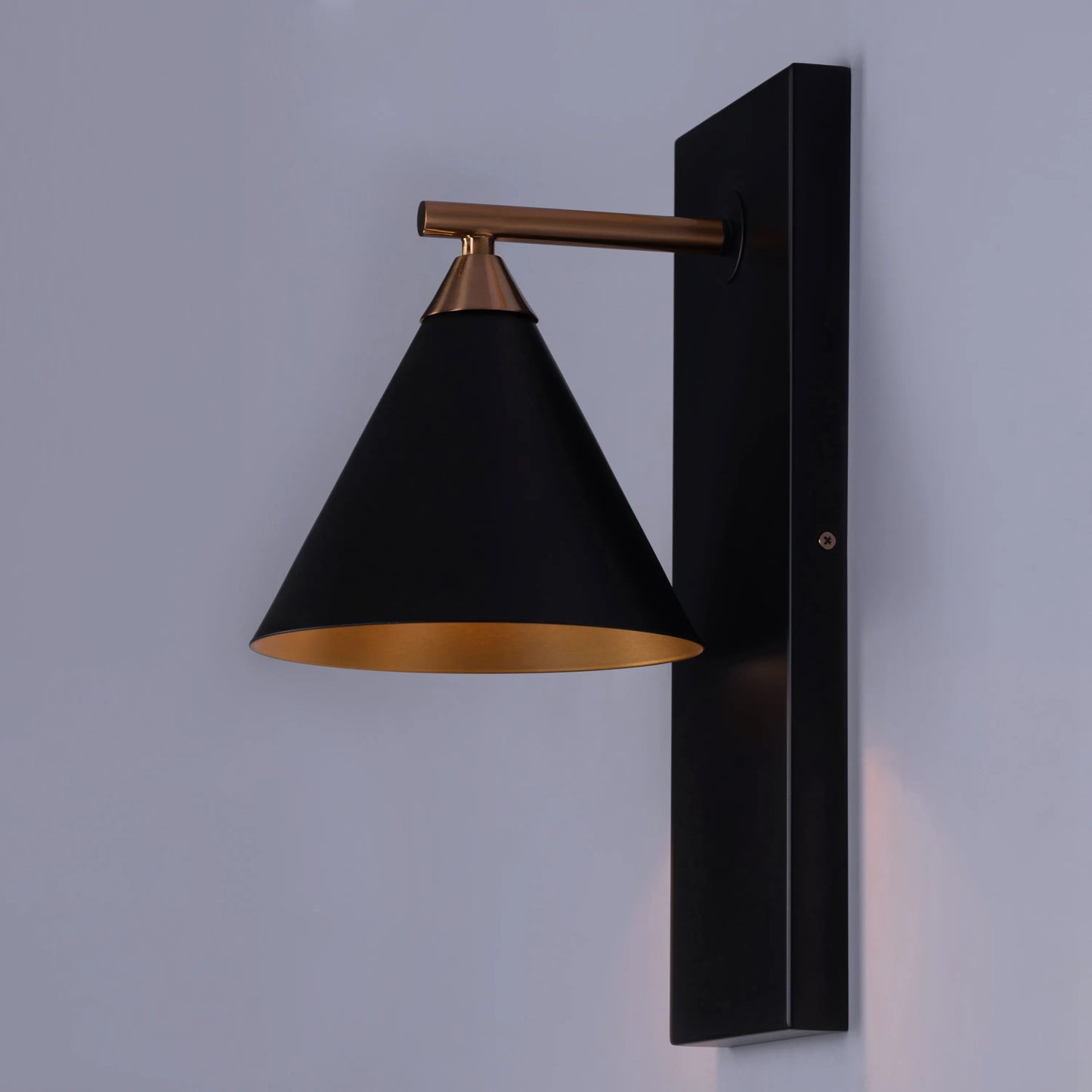 Dynamic Lease Of Life Wall Light featuring organic sculptural design with flowing curves in premium metallic finish, creating artistic illumination through integrated LED technology