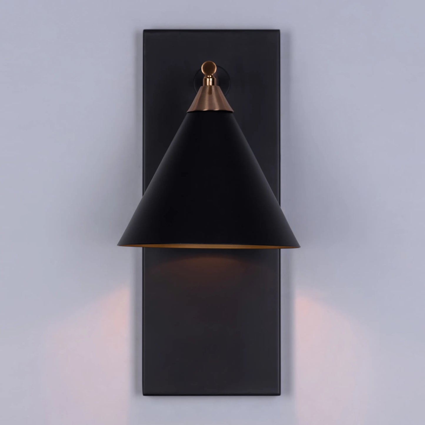 Lease Of Life Wall Light