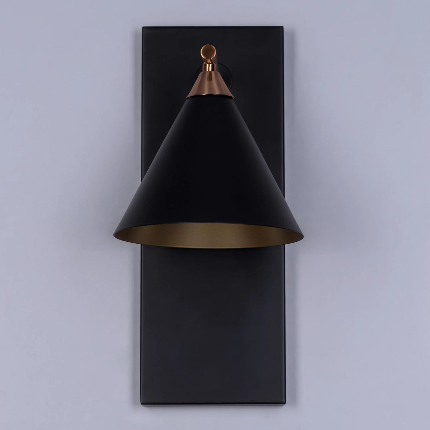 Lease Of Life Wall Light