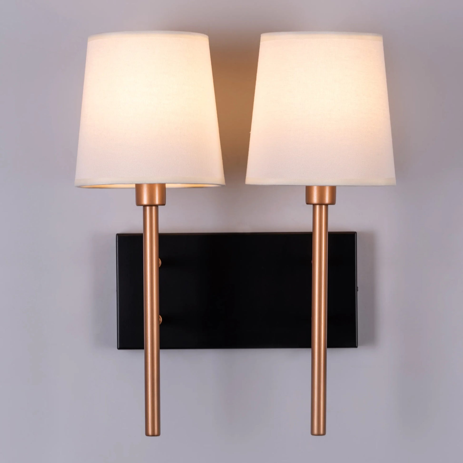 Sophisticated Dream Duo Wall Light featuring dramatic contrast of matte black and polished gold finishes, offering dual-source illumination with precise geometric design and premium metallic detailing