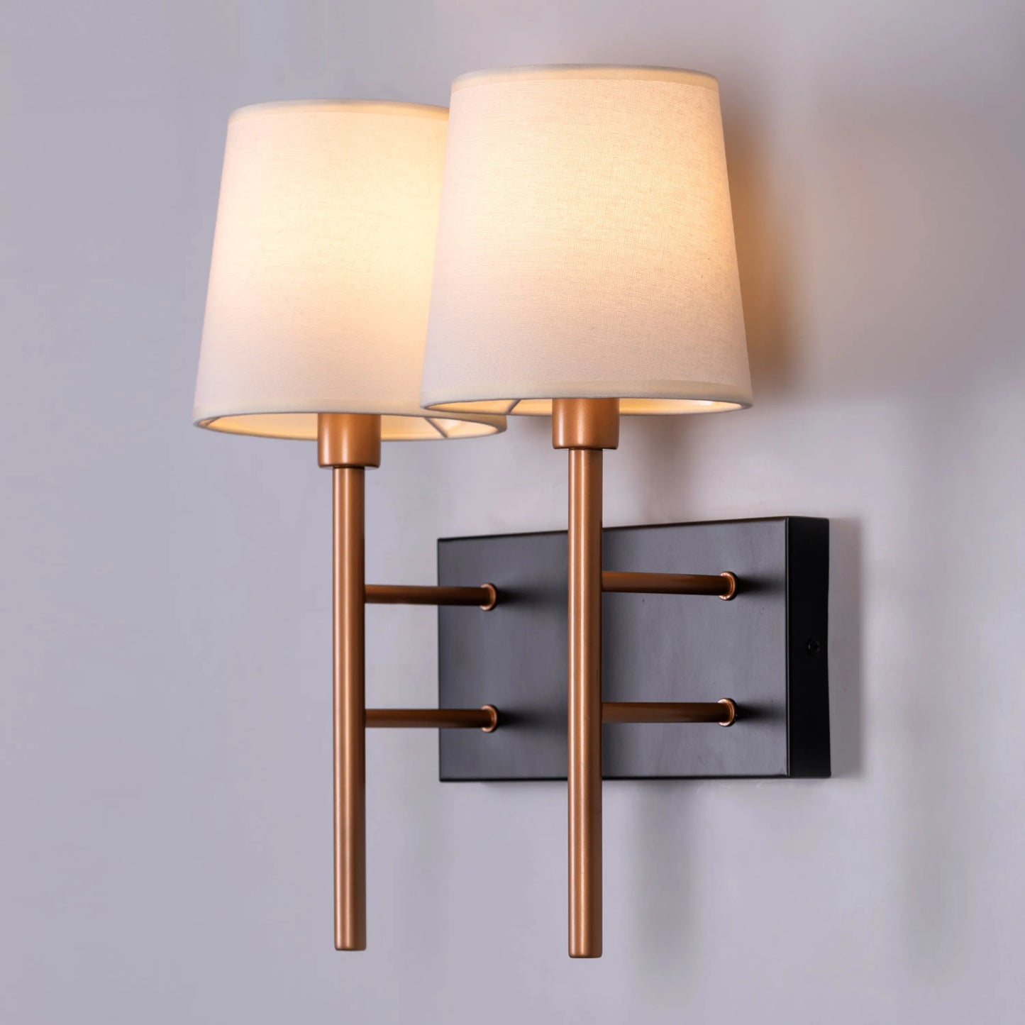 Dream Duo (Black, Gold) Wall Light