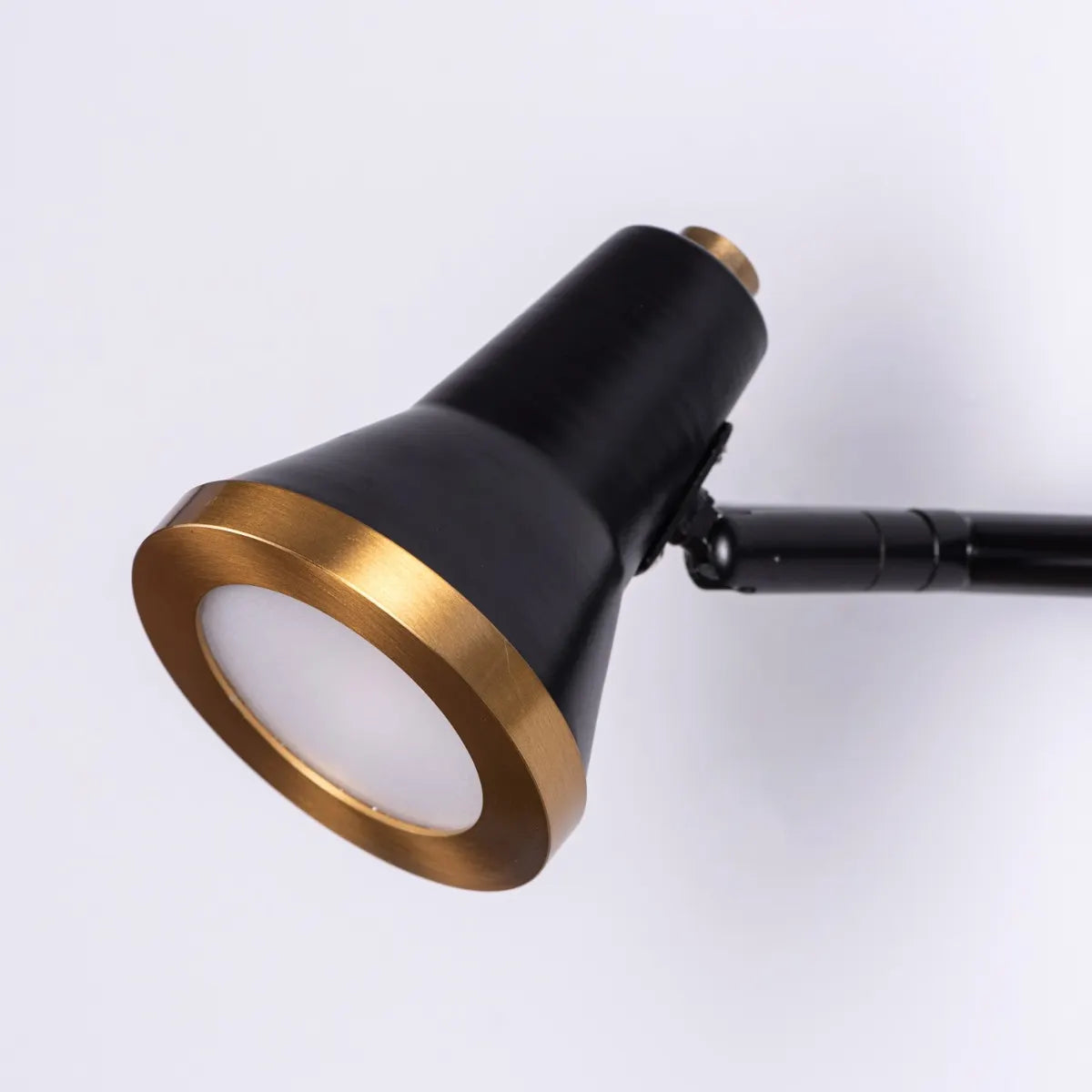 Beautiful Lives Picture Light