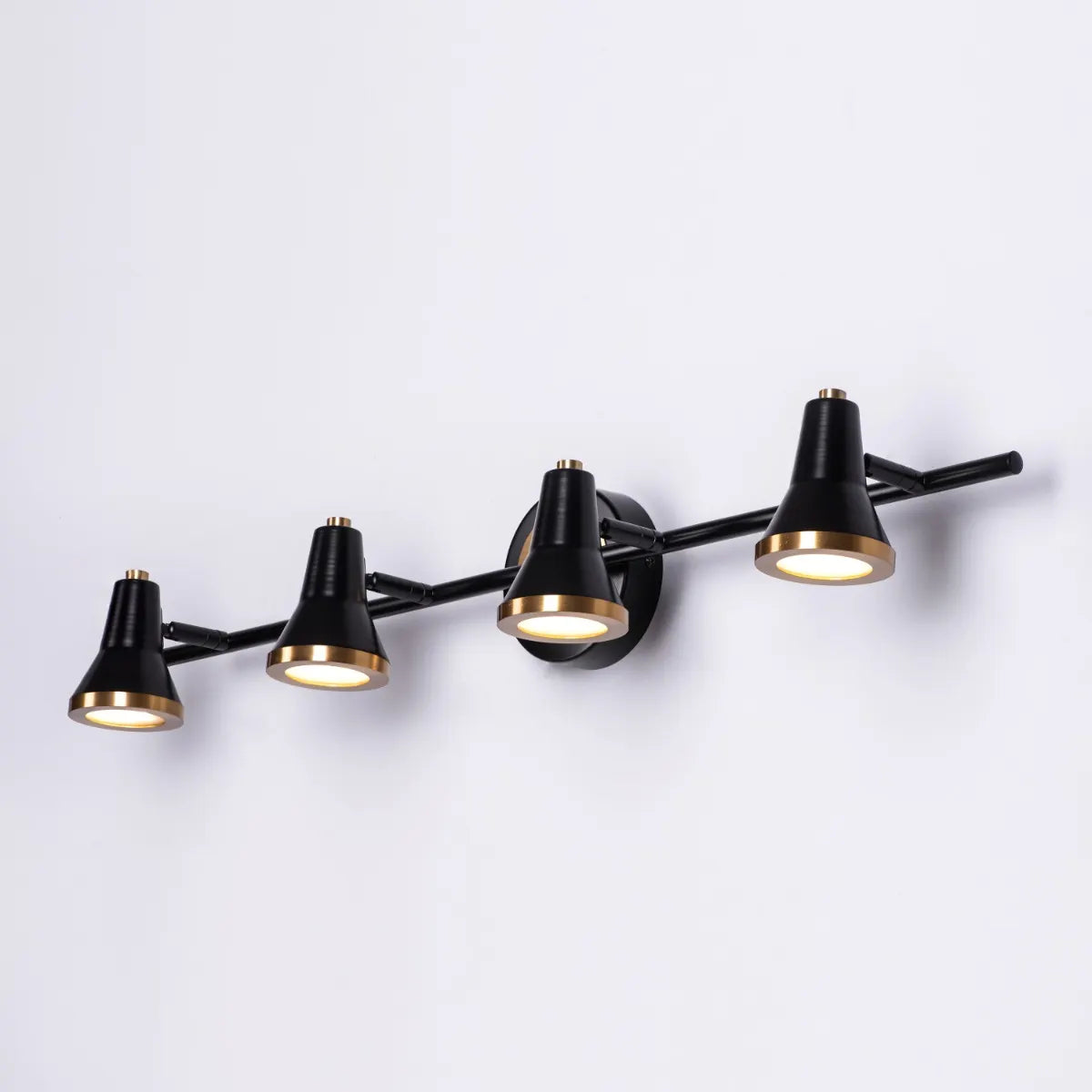 Beautiful Lives Picture Light