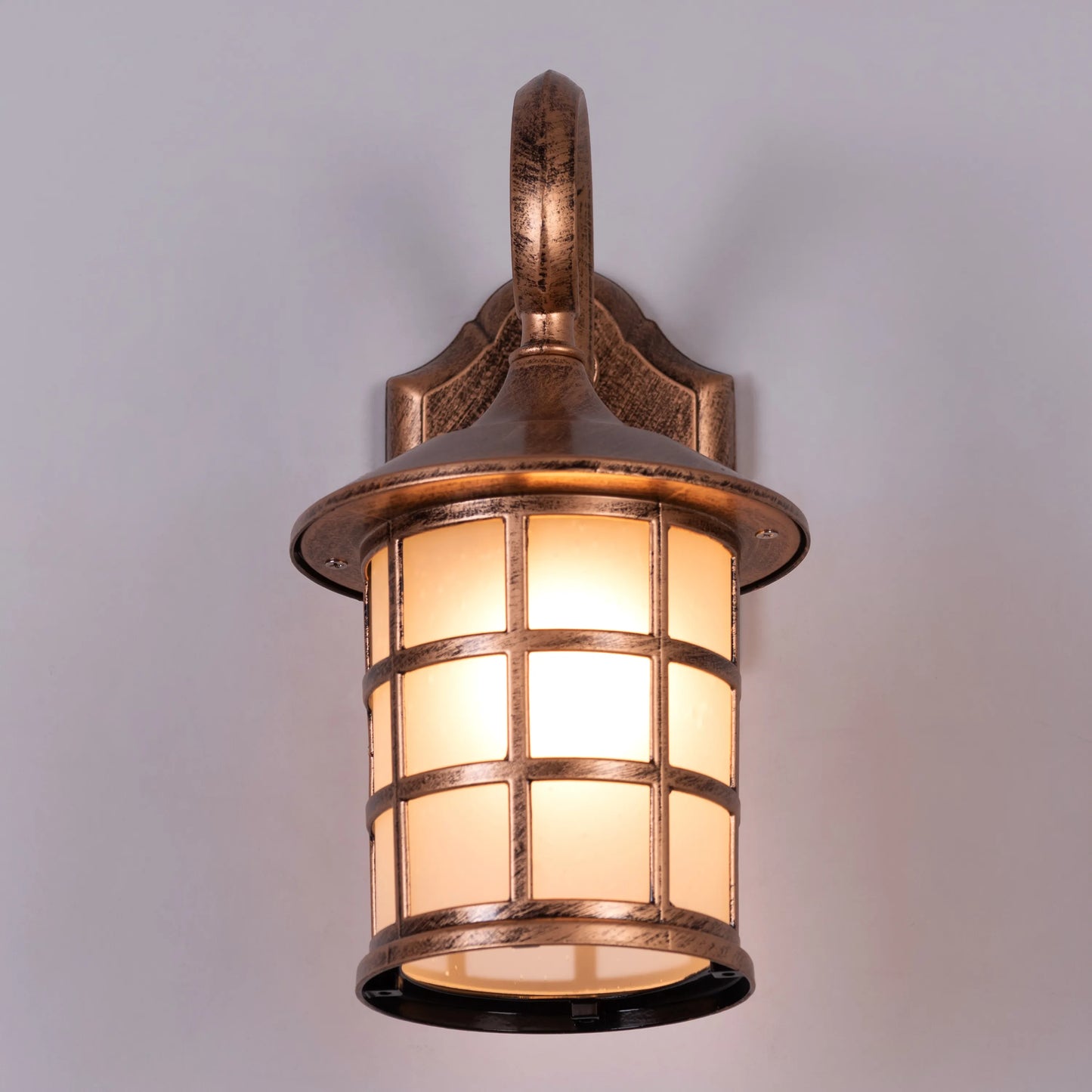 Gypsy Life Outdoor / Indoor Wall Light