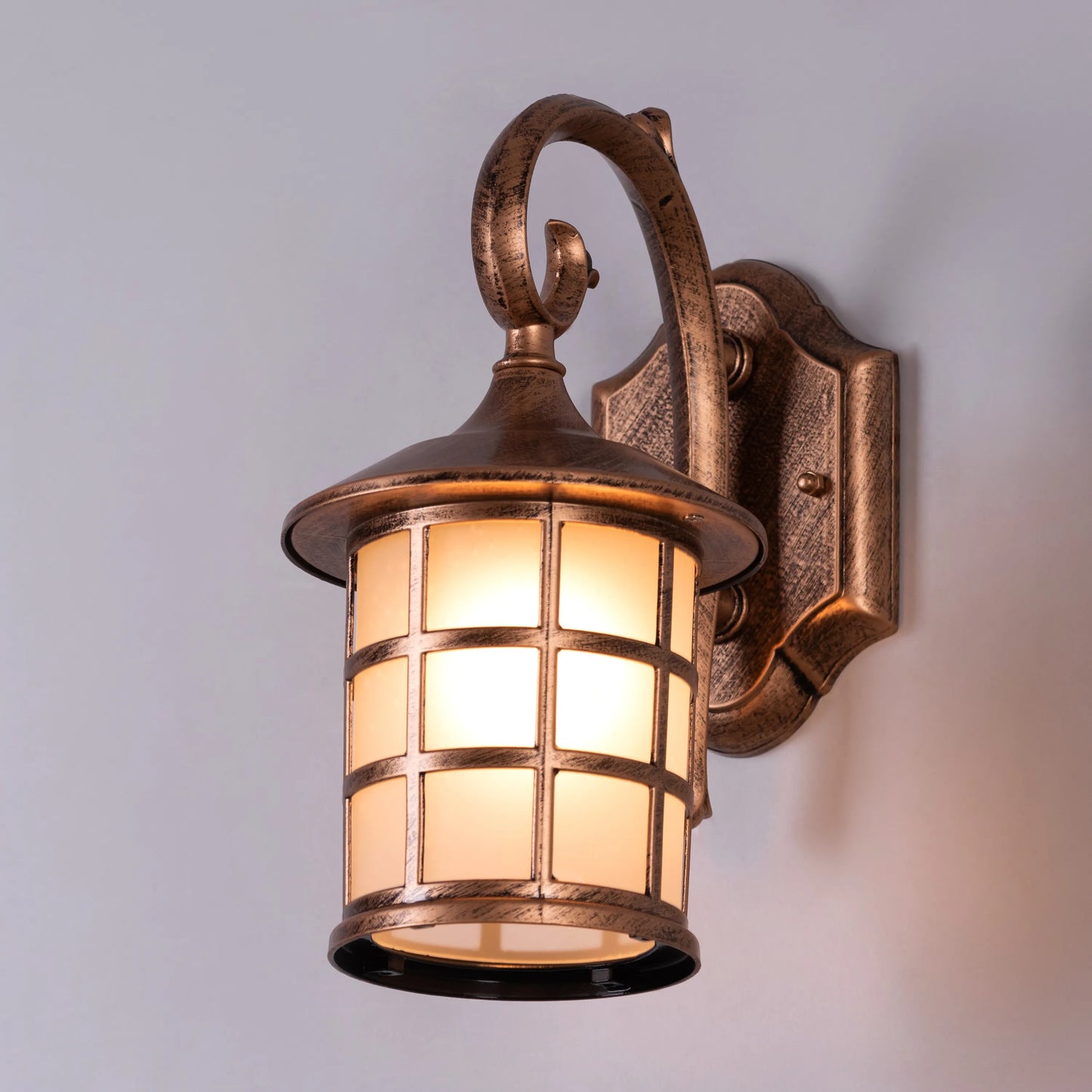 Gypsy Life Outdoor / Indoor Wall Light