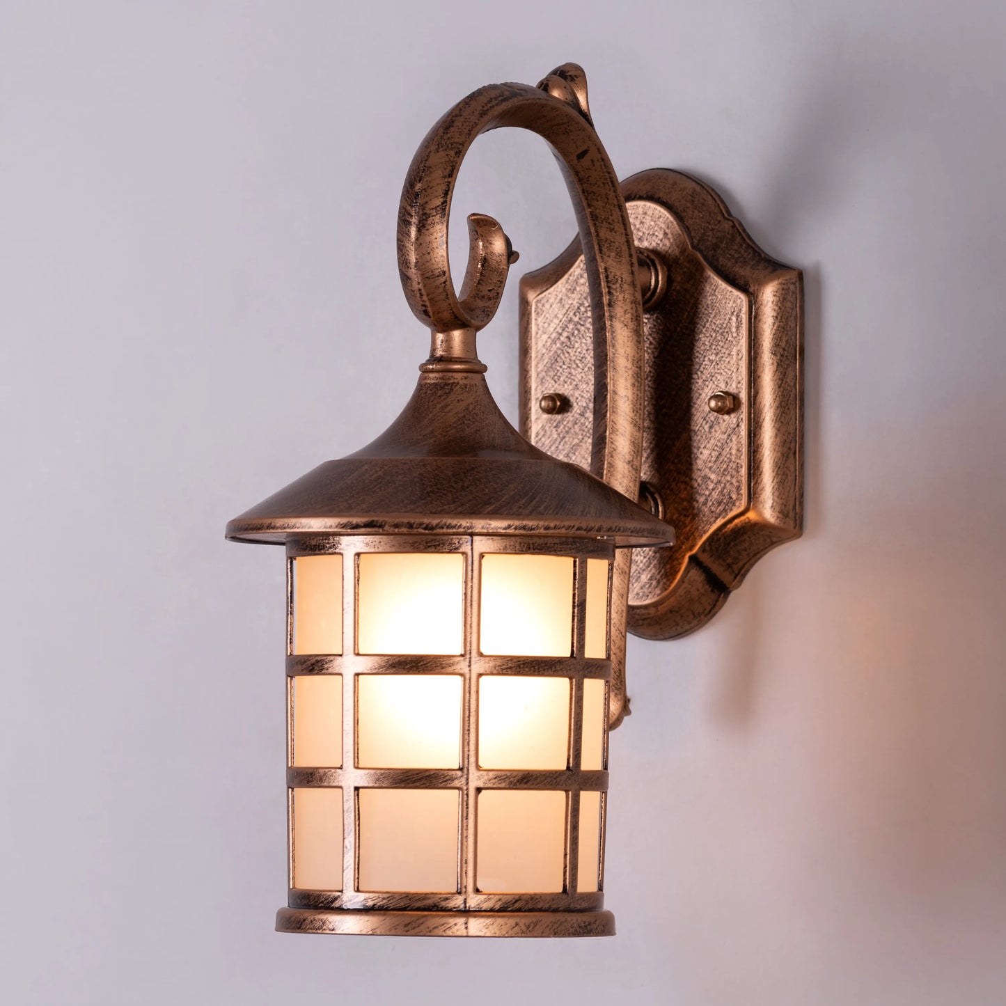 Gypsy Life Outdoor / Indoor Wall Light