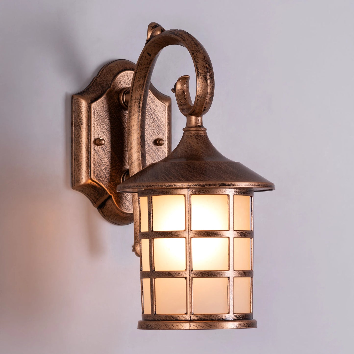 Gypsy Life Outdoor / Indoor Wall Light