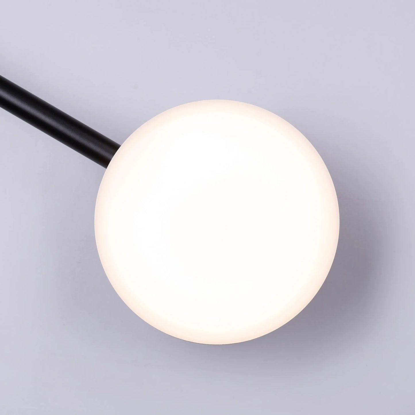 On A Lark Wall Light