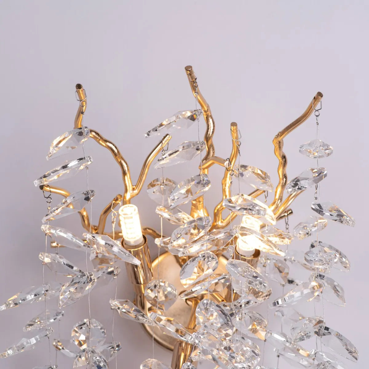 Moral Of The Story Crystal Wall Light