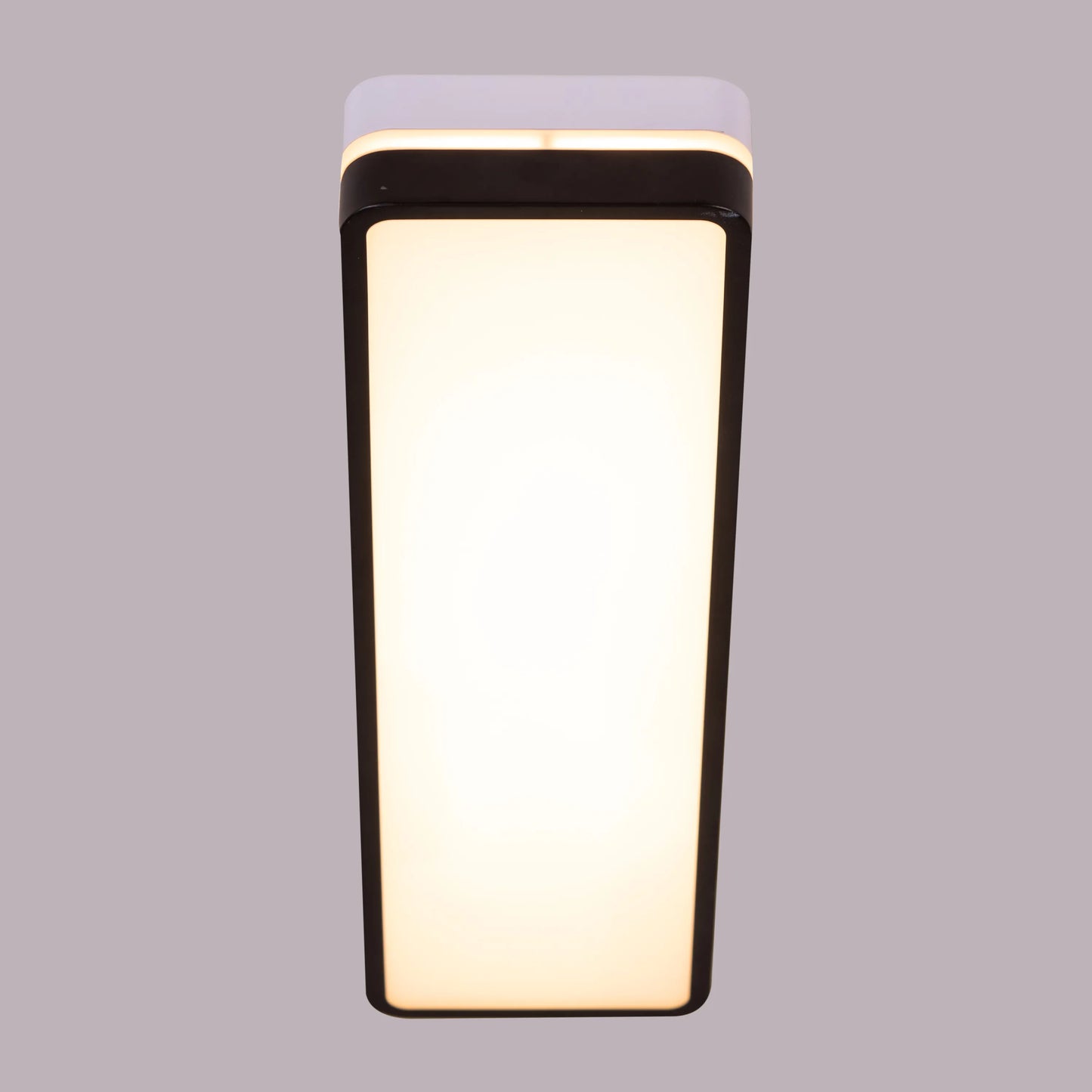 Fiesta (White, Built-In LED) Ceiling Light