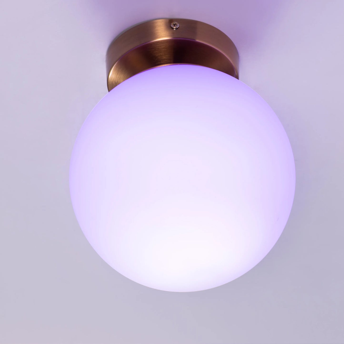 Single Life (Gold, Smart LED) Ceiling Light
