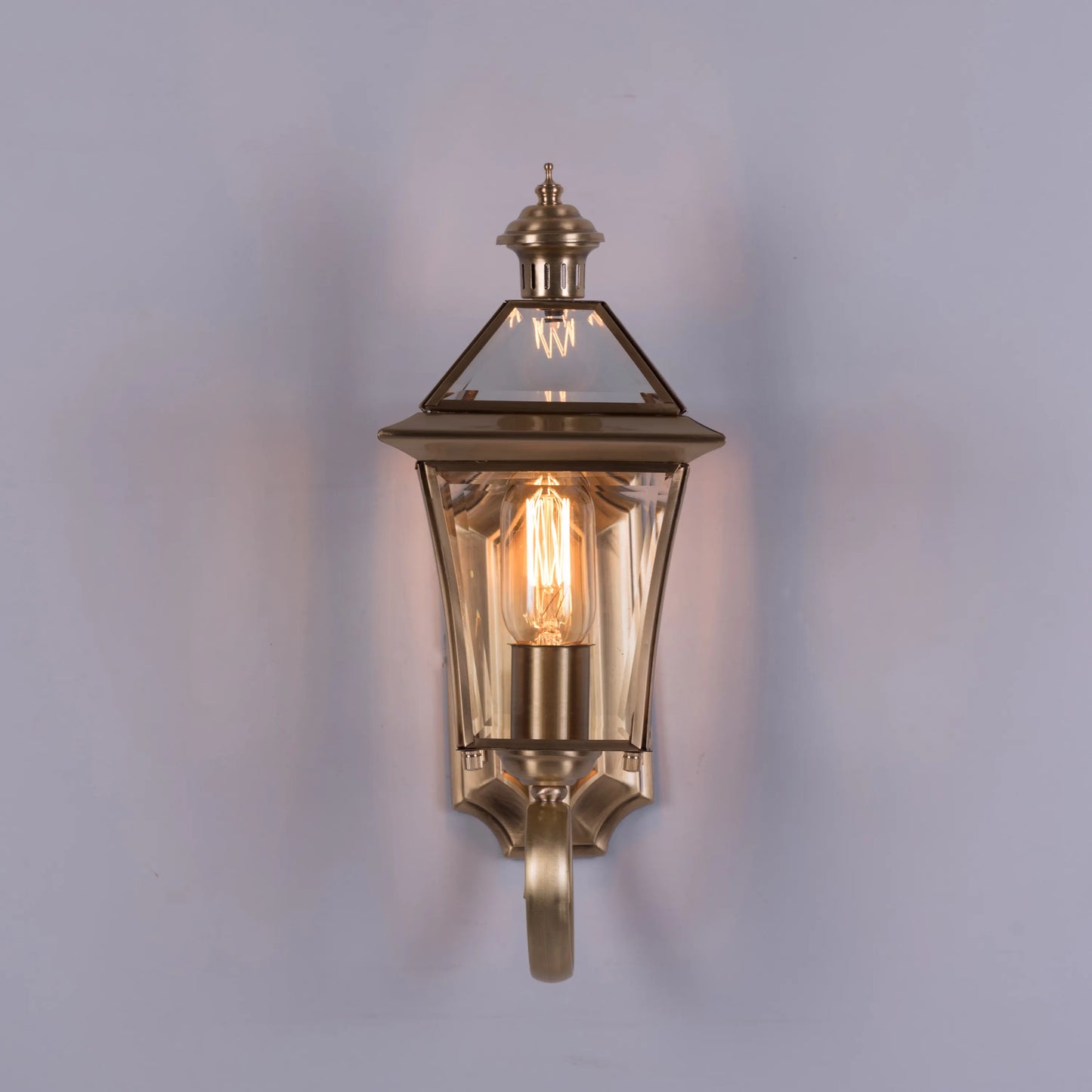 Moth To A Flame Indoor Shade Area Wall Light