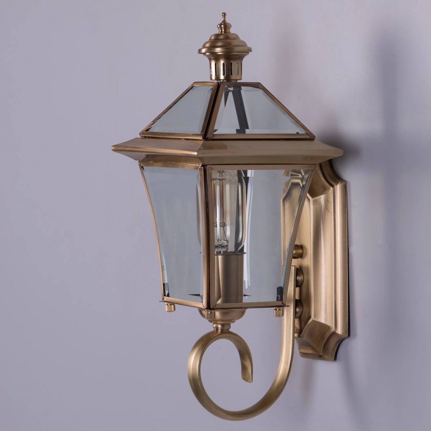 Moth To A Flame Indoor Shade Area Wall Light