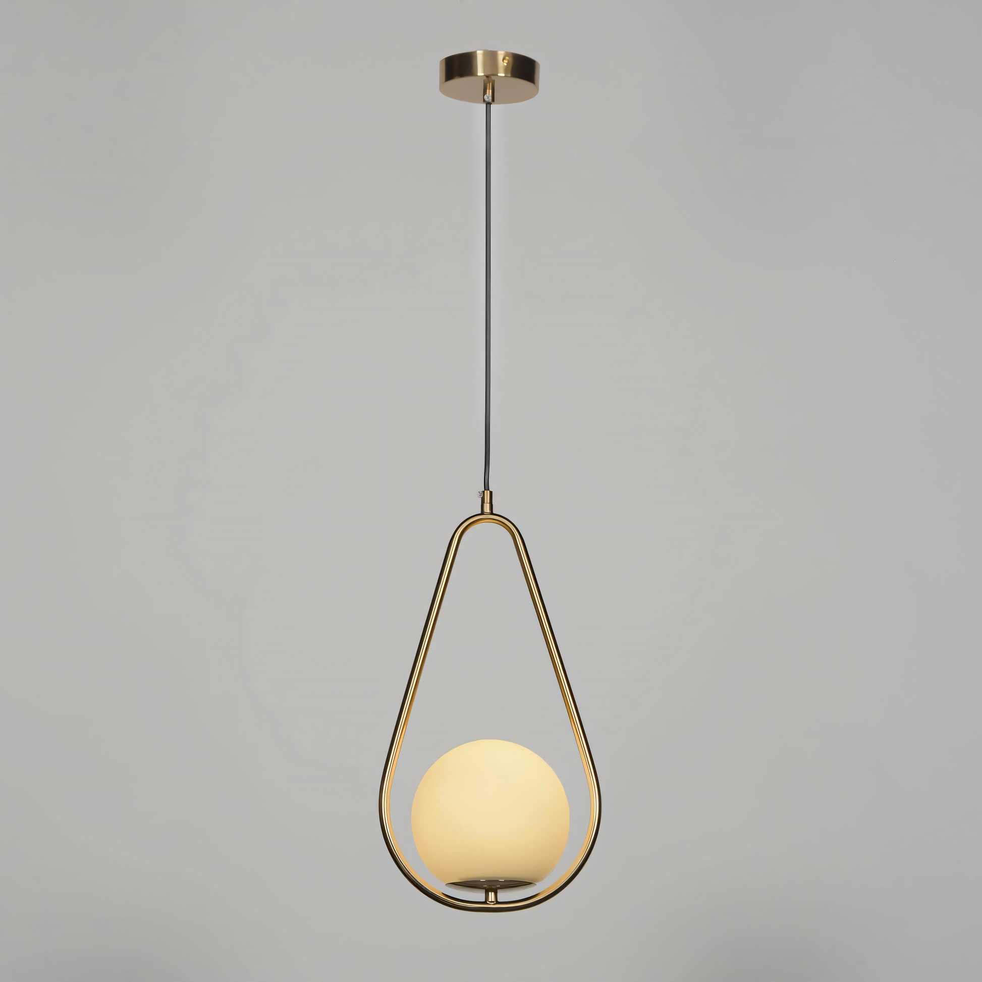 Serene Beauty of the Elaeis Hanging Light