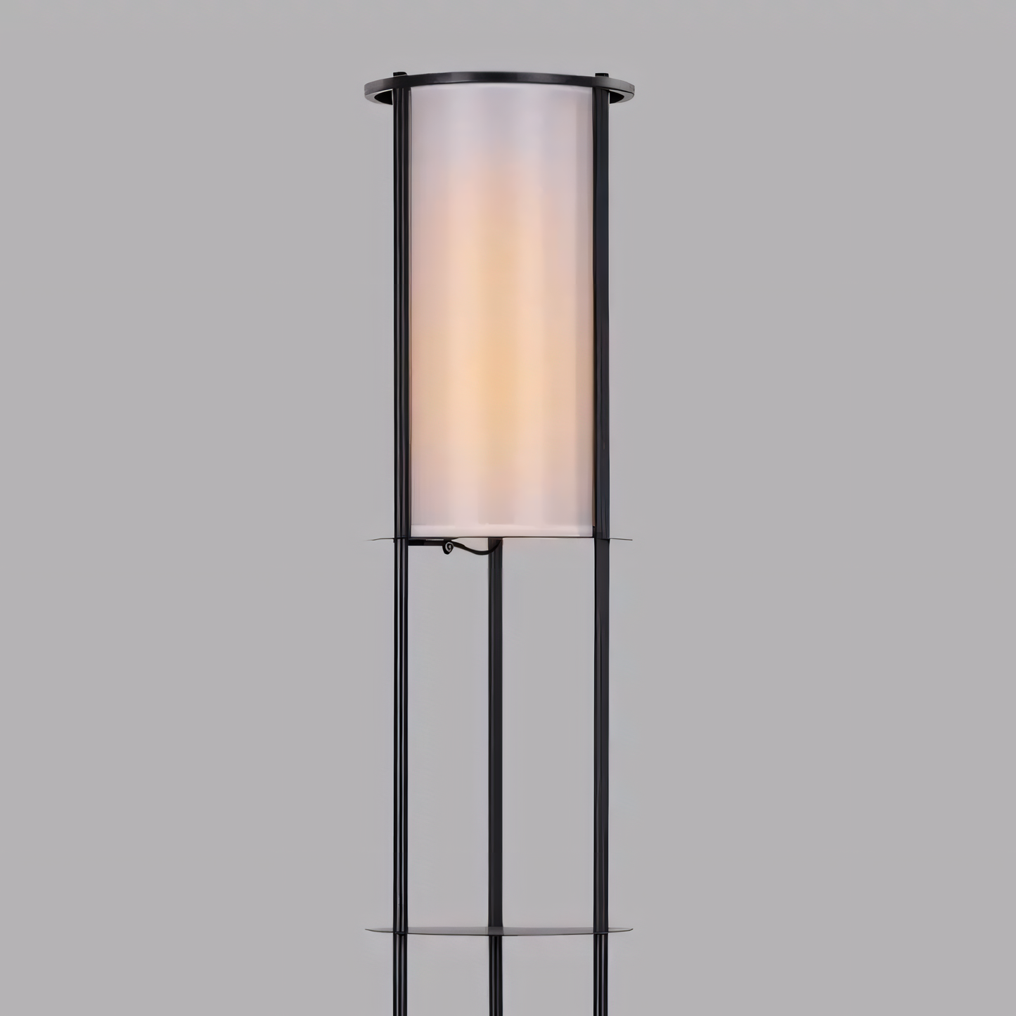 Sophisticated black powder-coated metal frame of the floor lamp