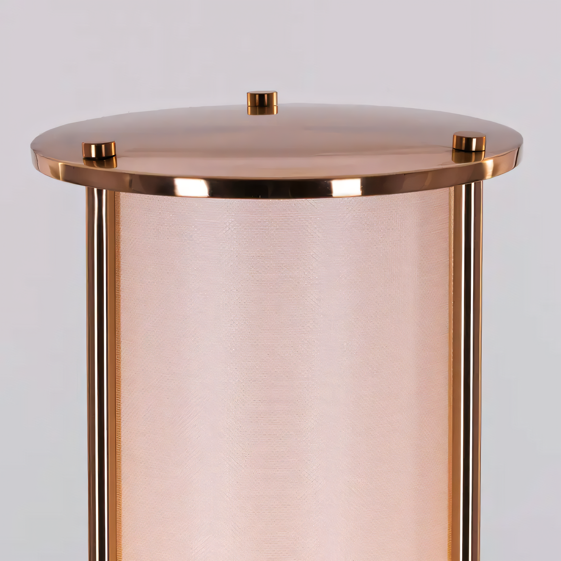 Multifunctional floor lamp with golden finish and fabric shade