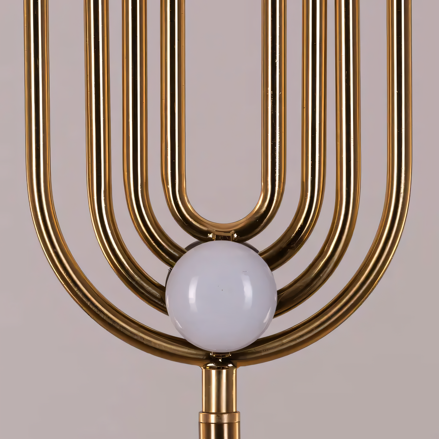 Captivating and alluring visual experience