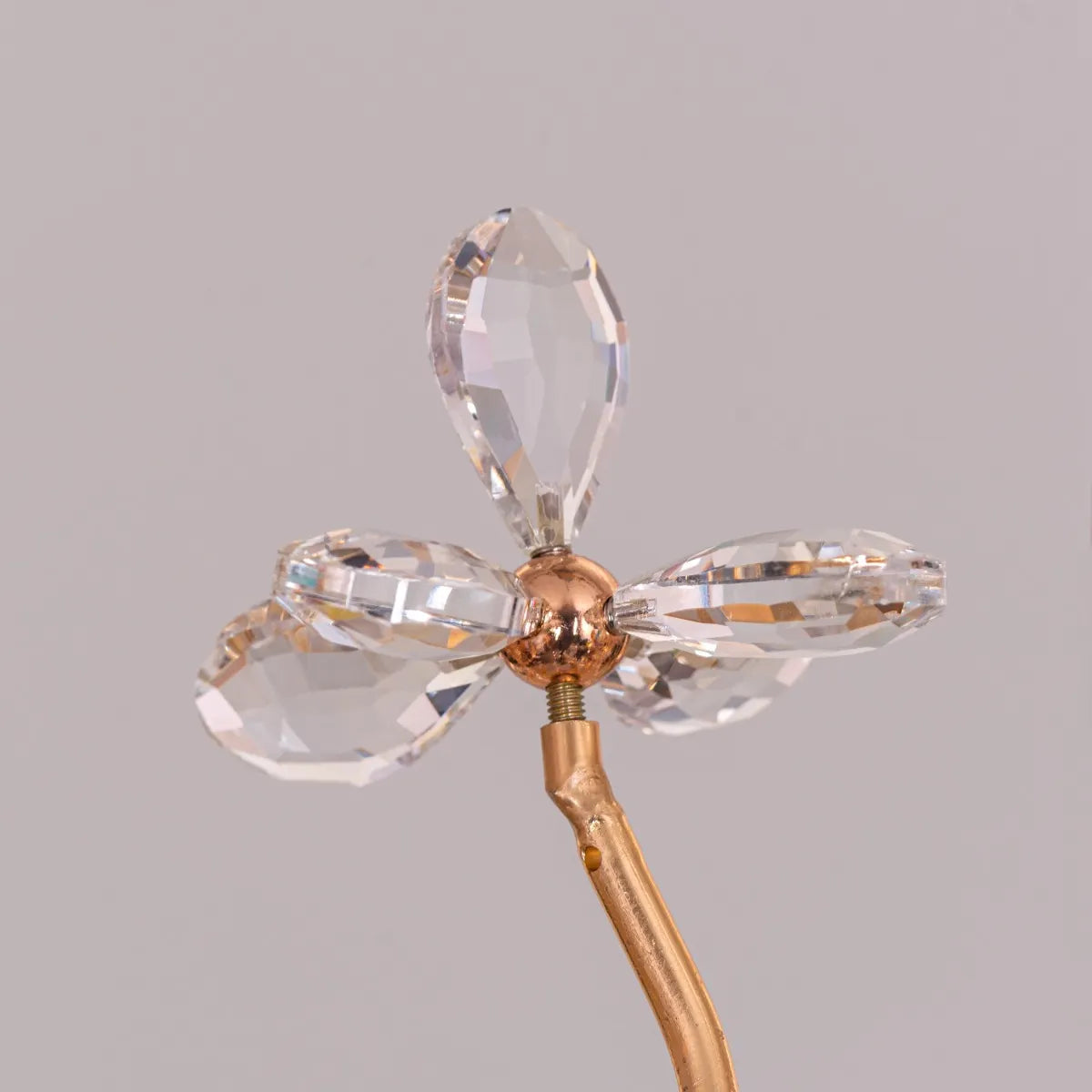 Elegant Daylight Fades Tree Branch Crystal Chandelier illuminating a modern dining room.