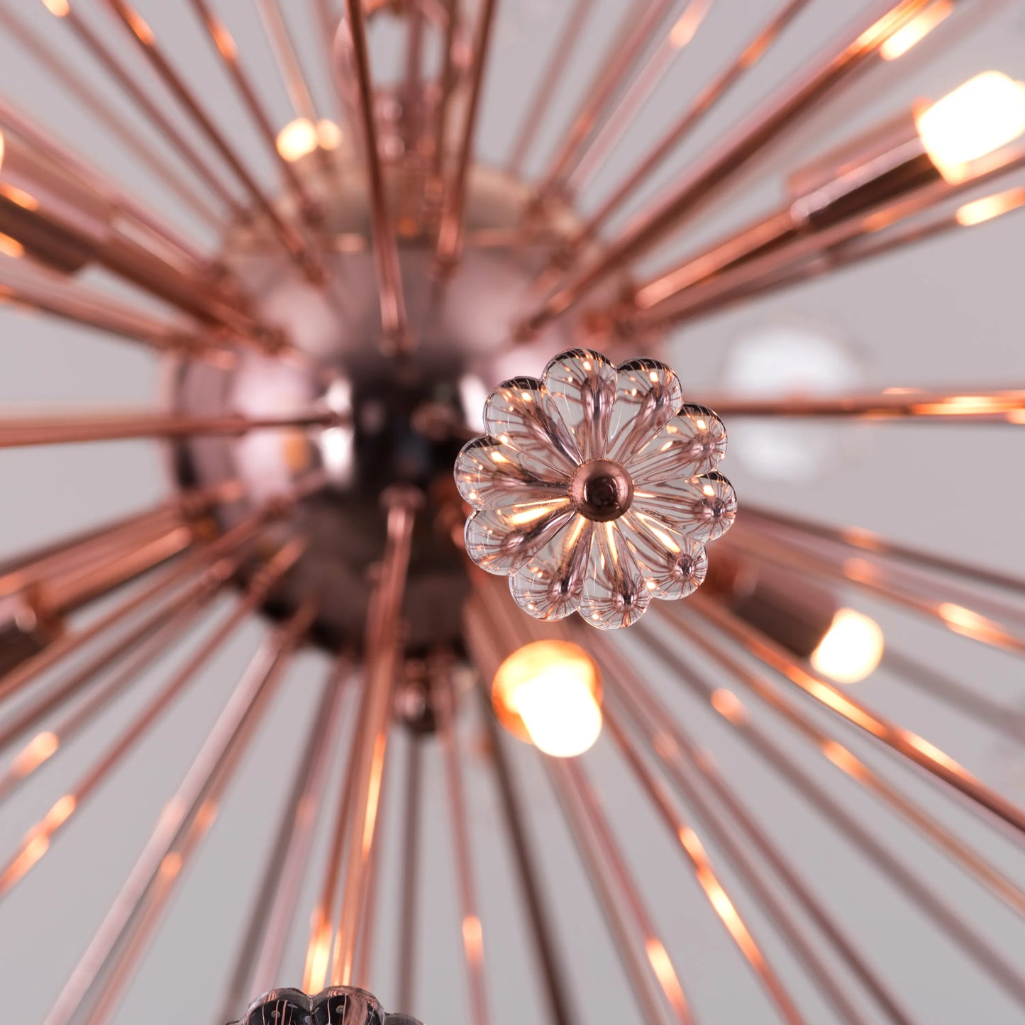 Flower Power Crystal Chandelier