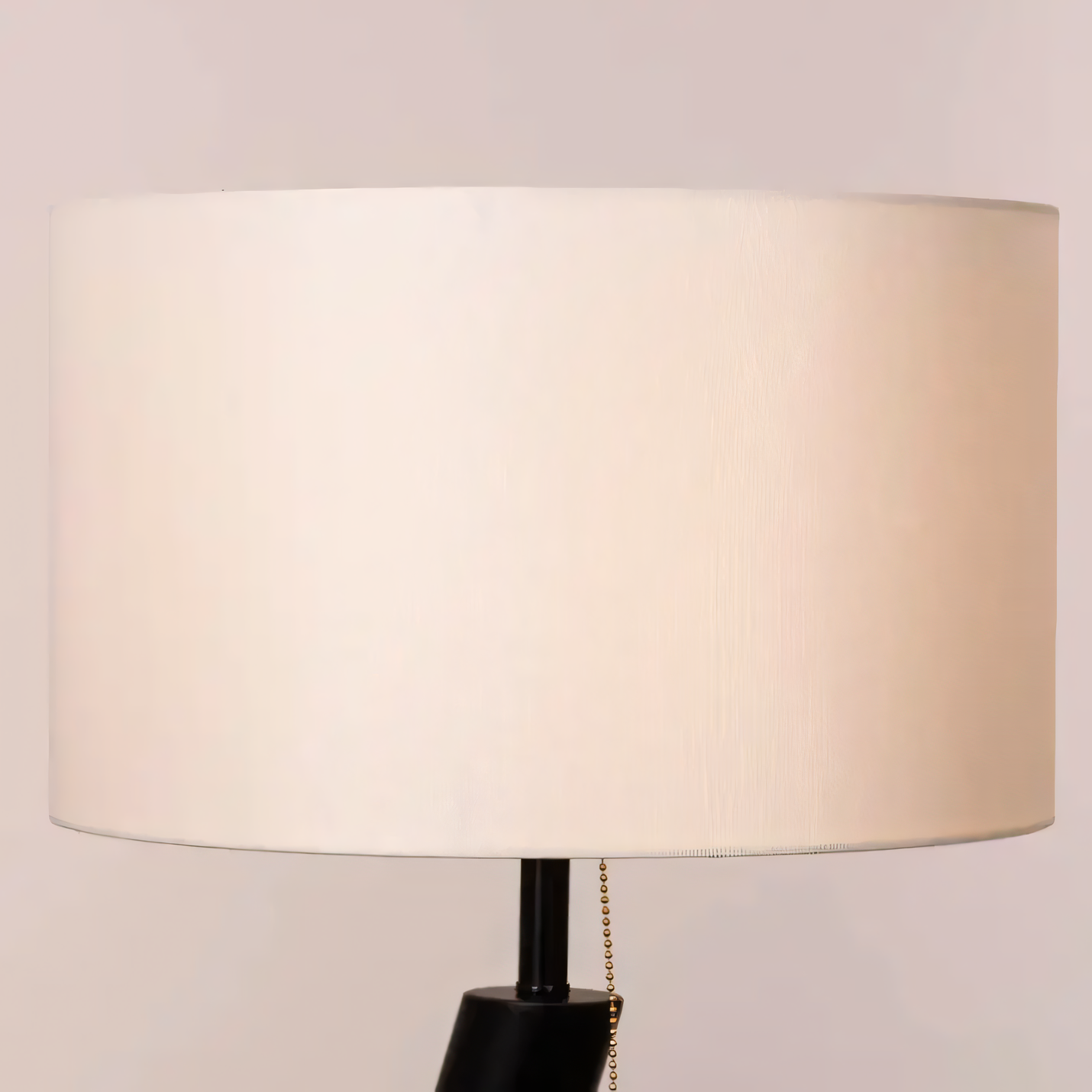 Urban-Chic Black Metal Lamp with Gold Accents