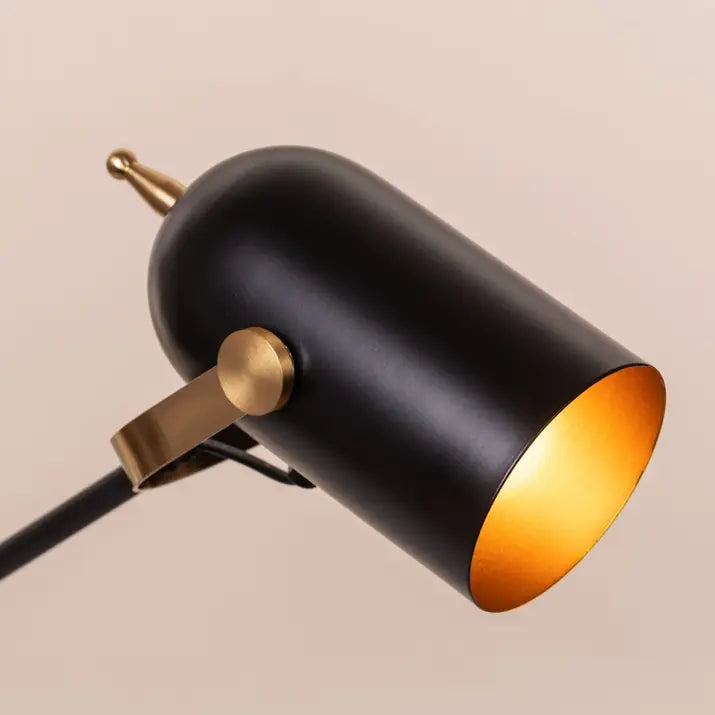 Elegant study lamp with contrasting finishes