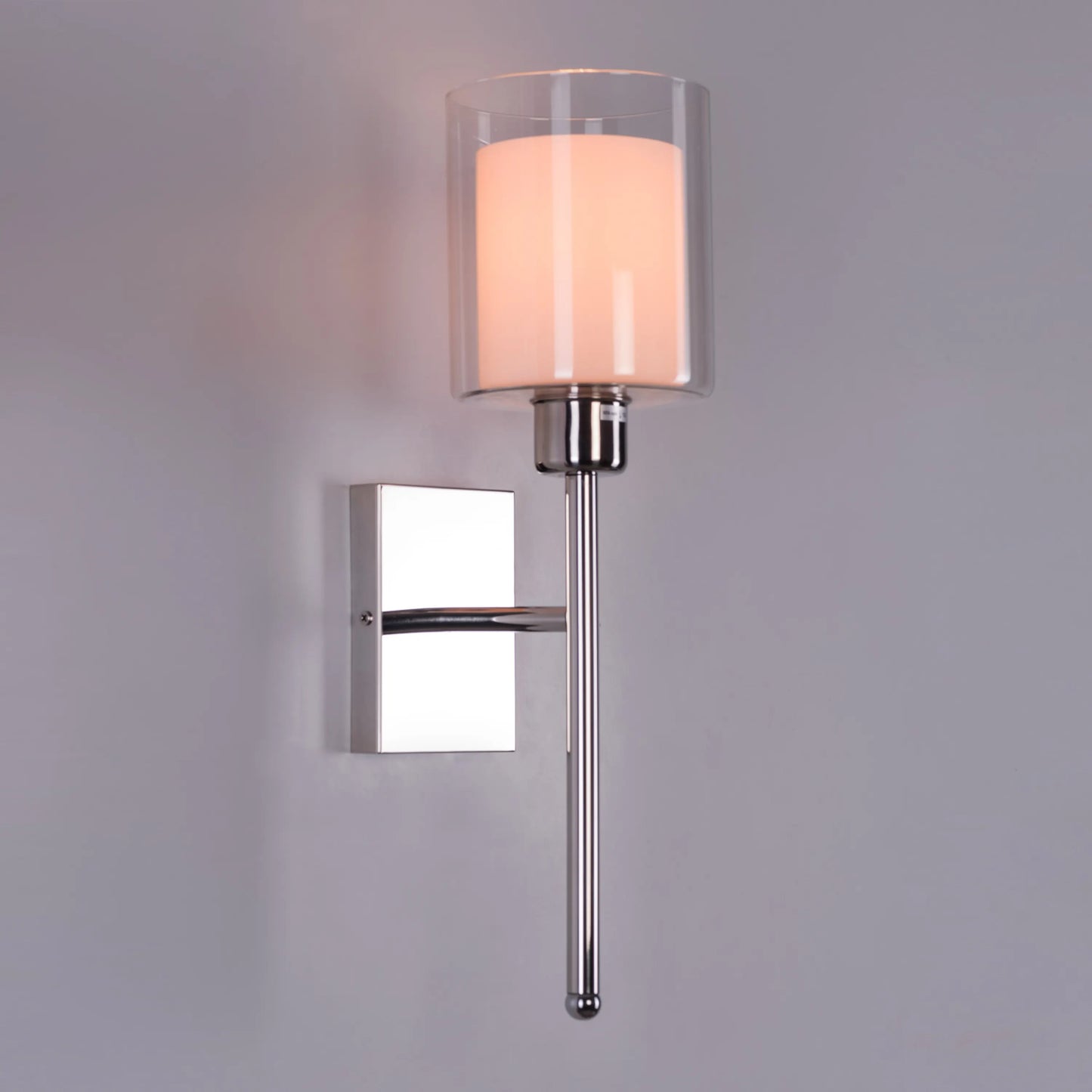 Courtesy Call Stainless Steel Wall Light