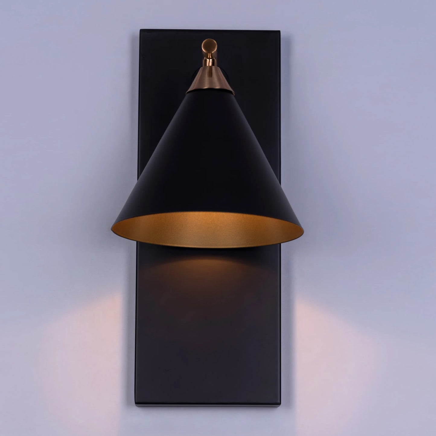 Lease Of Life Wall Light