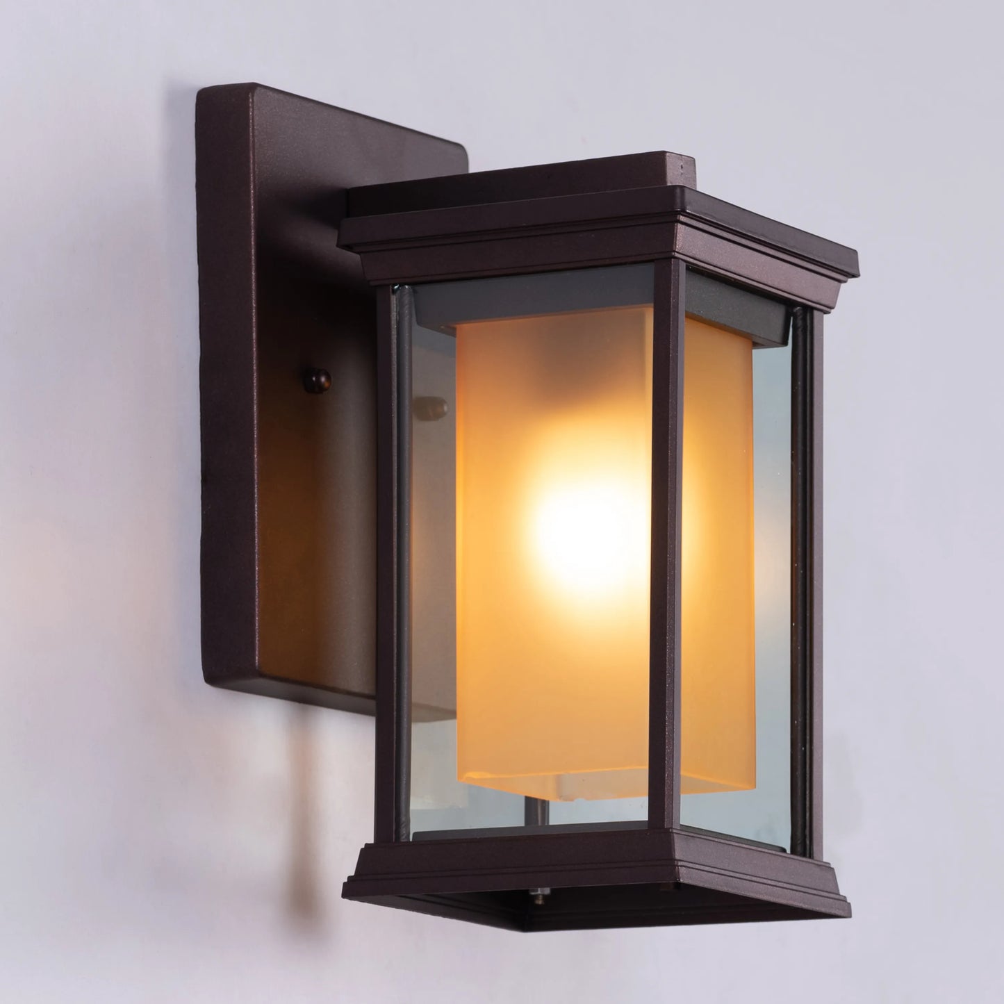 Choose Wisely Indoor / Outdoor Wall Light