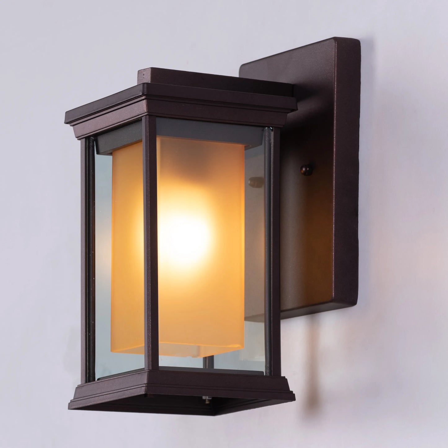 Choose Wisely Indoor / Outdoor Wall Light