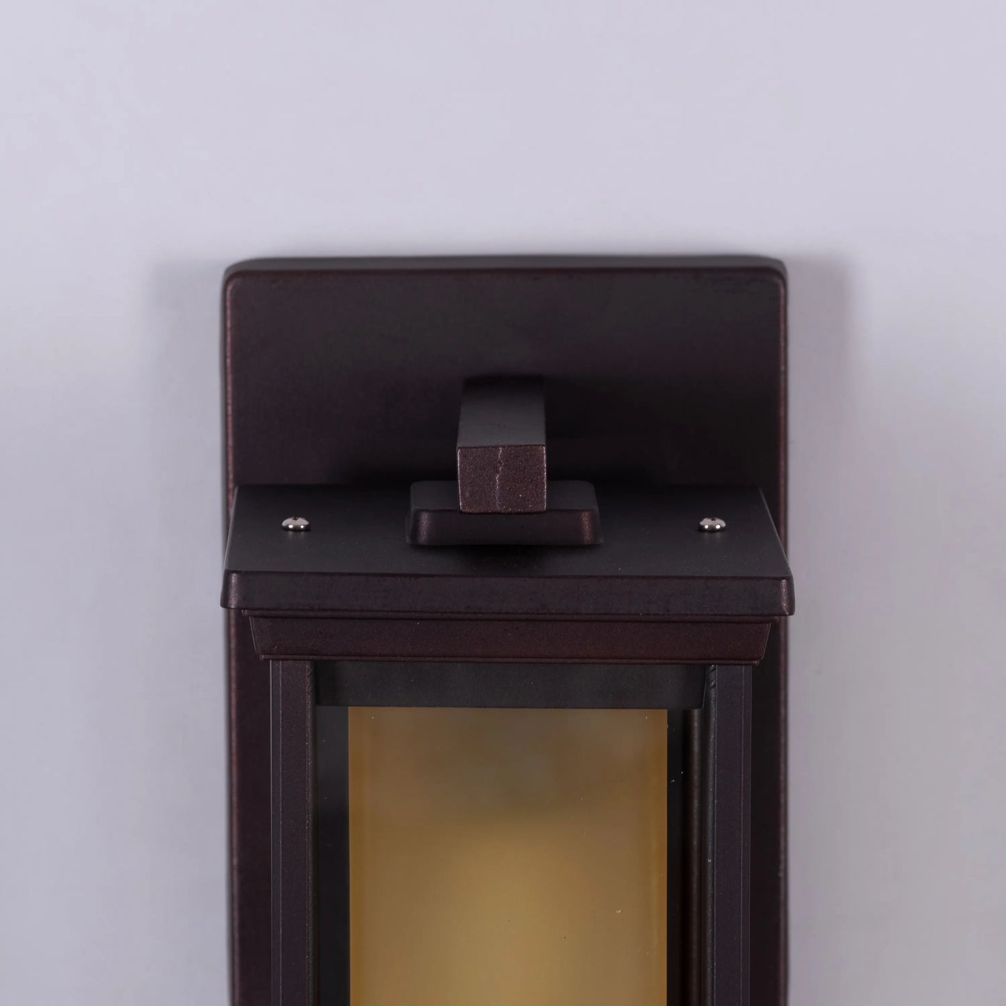 Choose Wisely Indoor / Outdoor Wall Light