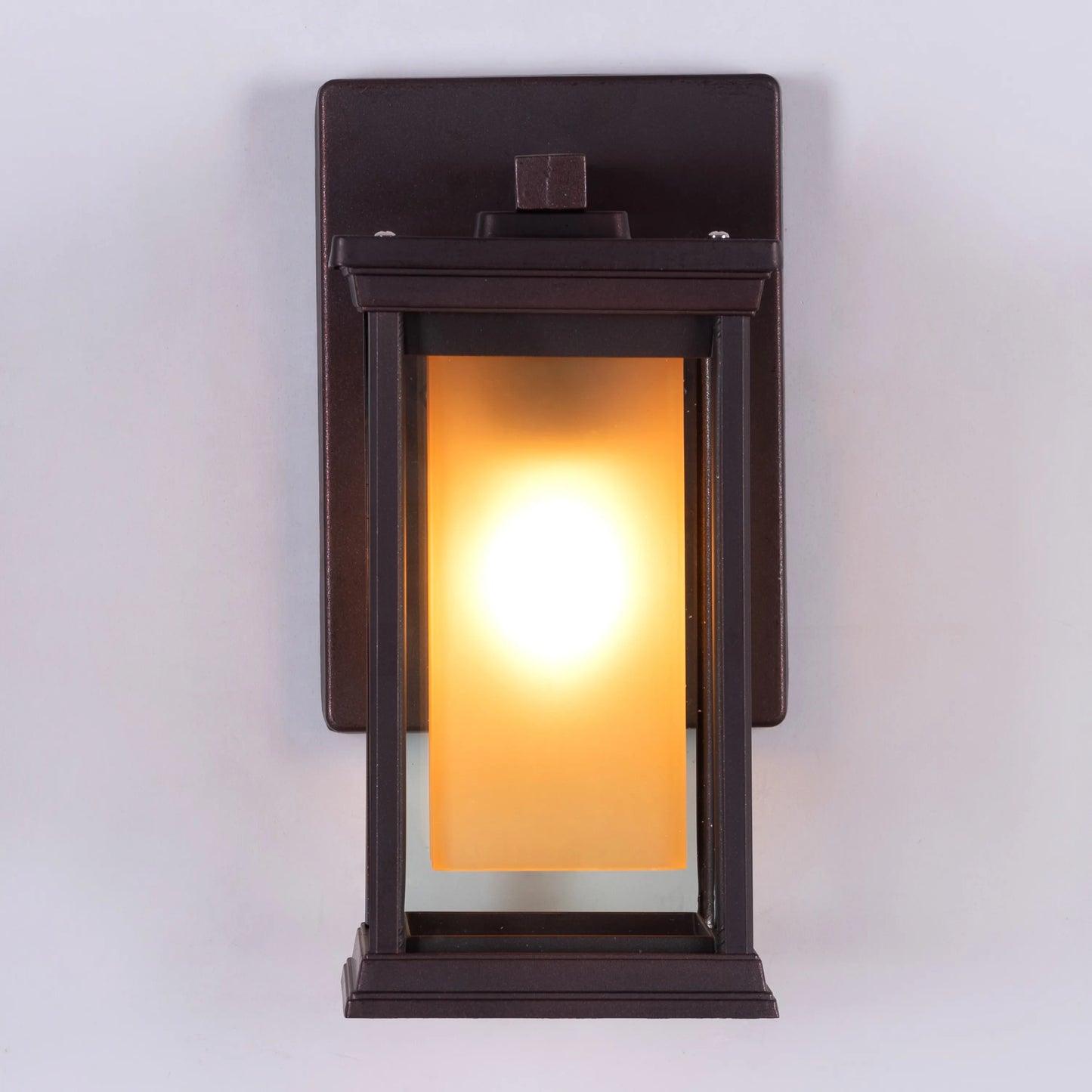 Choose Wisely Indoor / Outdoor Wall Light