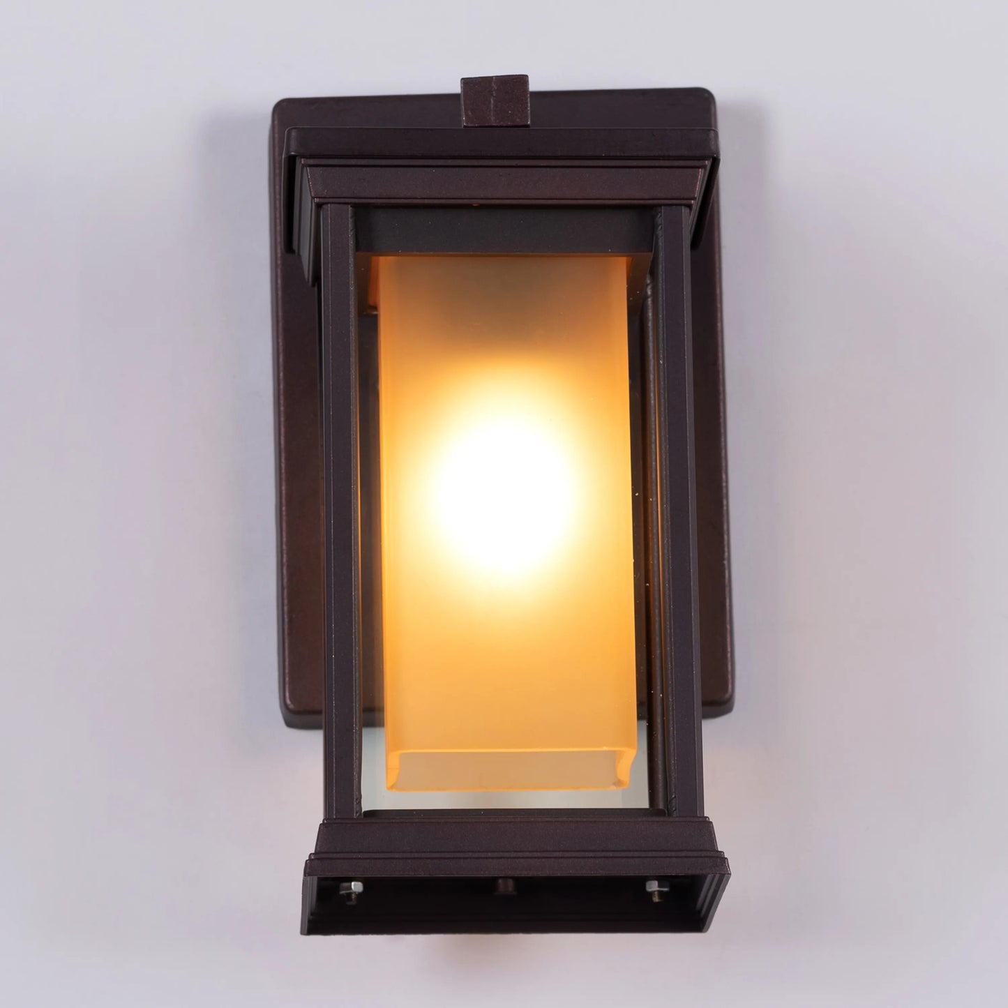 Choose Wisely Indoor / Outdoor Wall Light