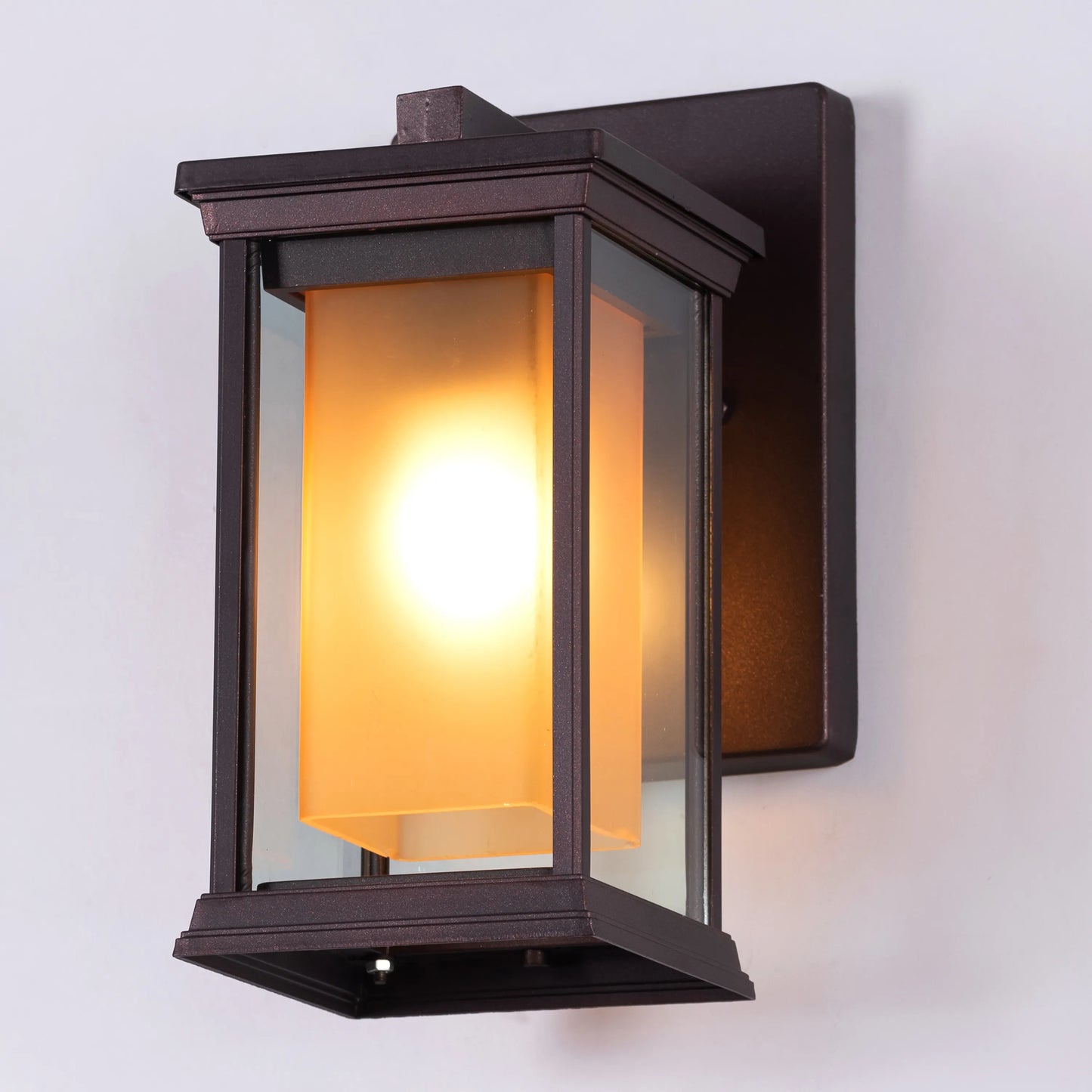 Choose Wisely Indoor / Outdoor Wall Light
