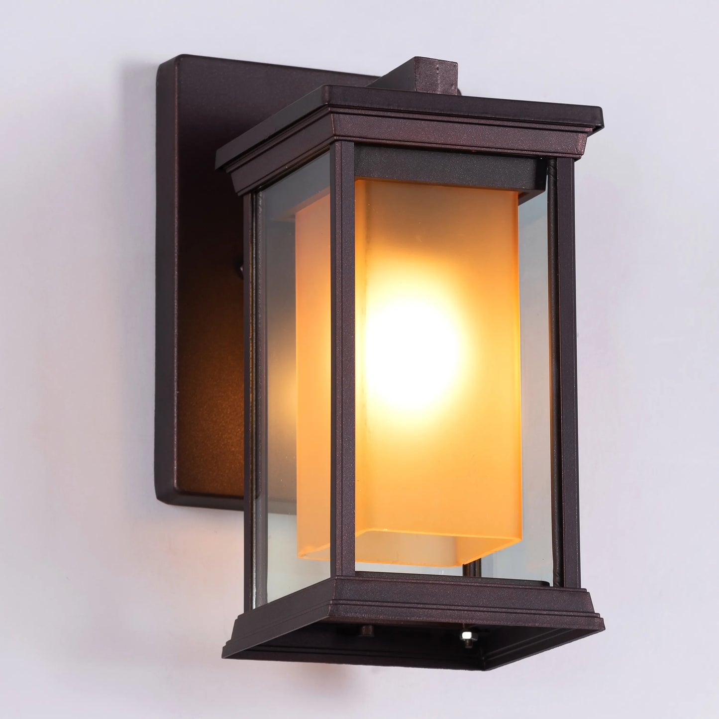 Choose Wisely Indoor / Outdoor Wall Light