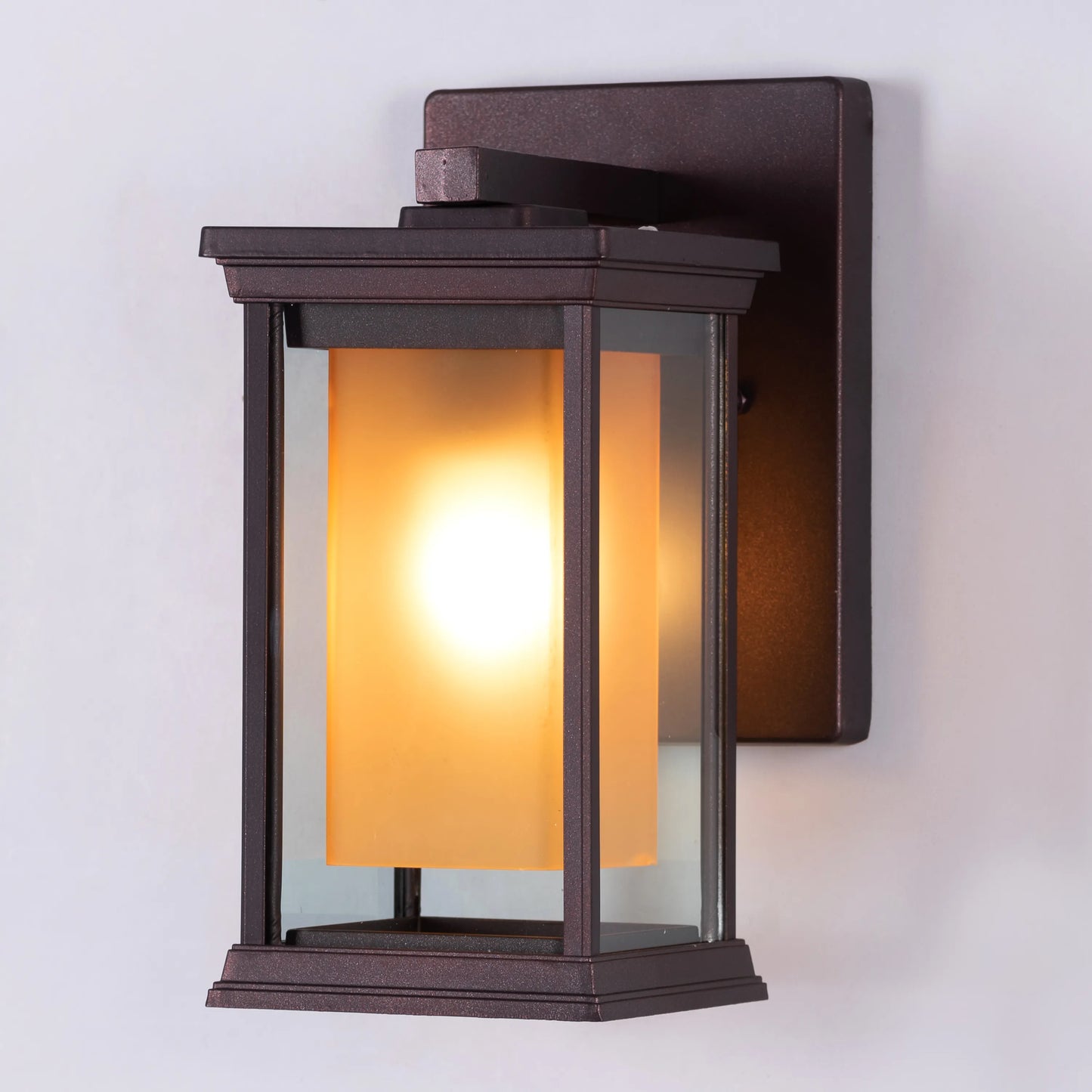 Choose Wisely Indoor / Outdoor Wall Light