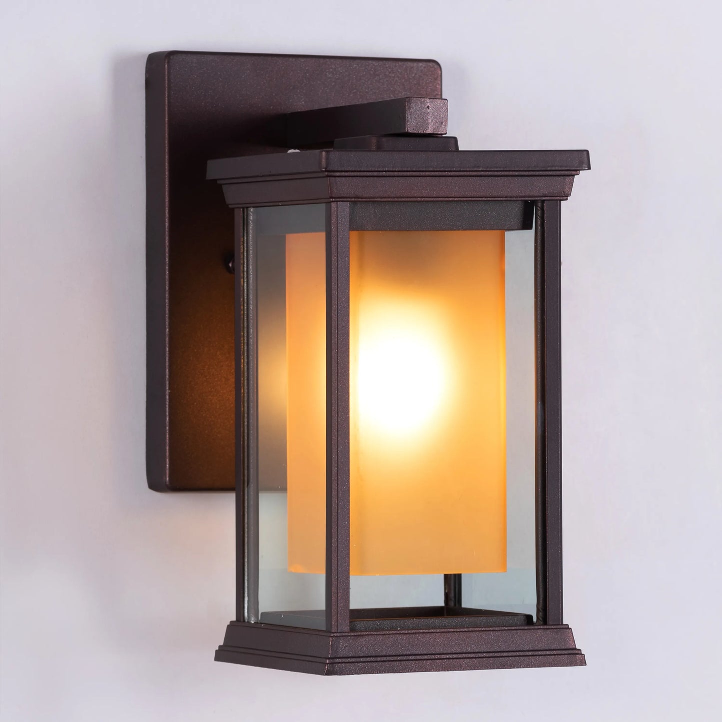 Choose Wisely Indoor / Outdoor Wall Light